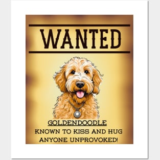 WANTED: GOLDENDOODLE, KNOWN TO KISS AND HUG UNPROVOKED Posters and Art